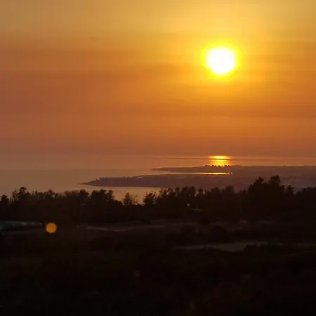 Coral Sunset * Tala