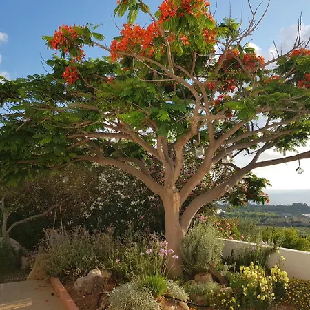 Coral Sunset Villa Tala