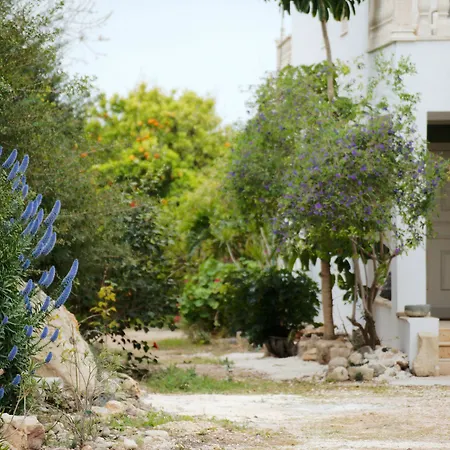 Coral Sunset Villa Tala